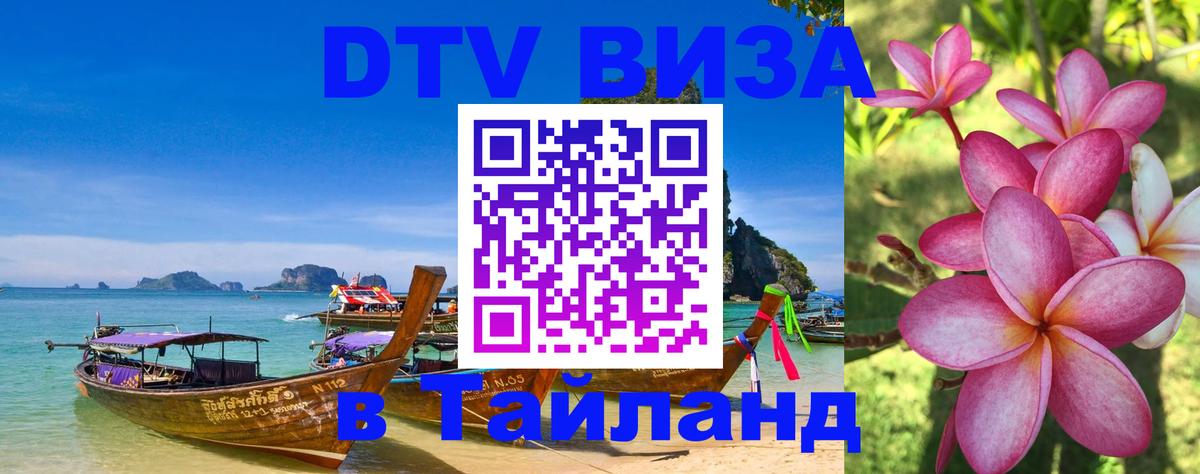 Сколько стоит DTV виза — актуальные цены, оформление даже без документов - Краби 